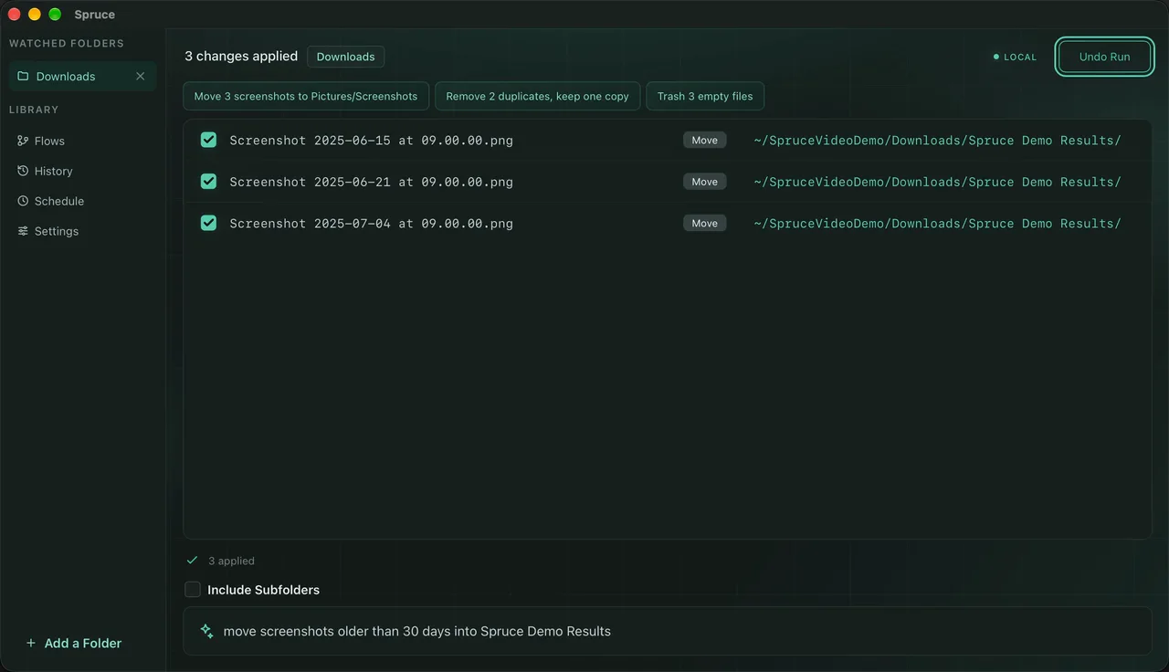 Spruce for macOS showing an applied cleanup with an Undo Run button